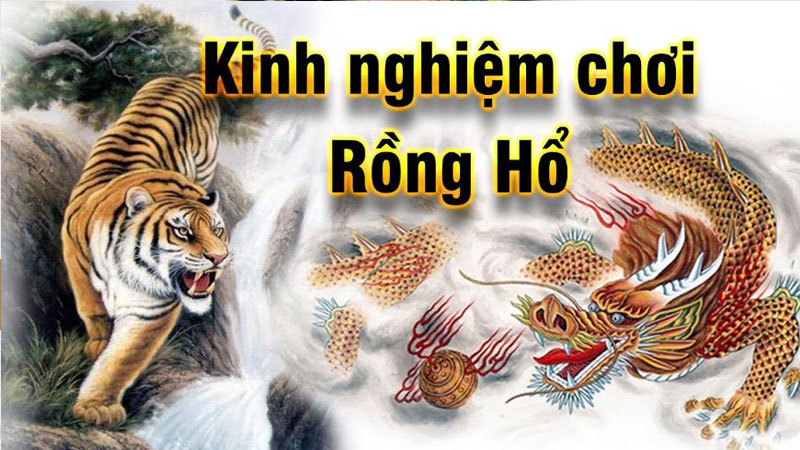 Rồng Hổ Sunwin