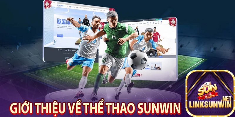 Tham gia cá cược đá bóng tại link tải Sunwin